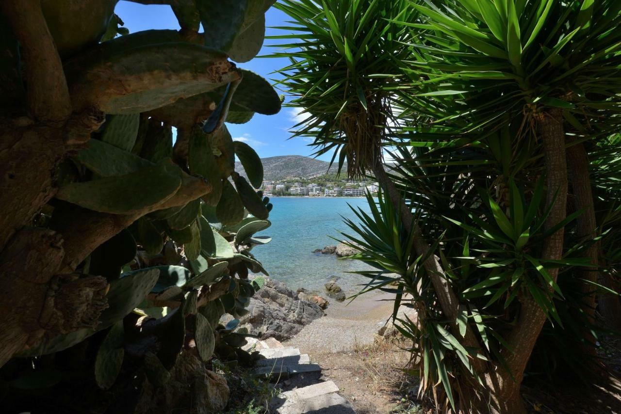 Villa Portomare Pórto Ráfti エクステリア 写真